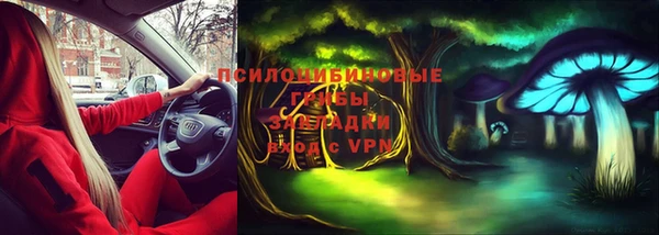 прущие крисы Протвино