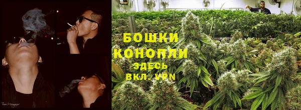прущие крисы Покачи