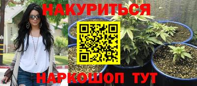 гидра Берёзовский