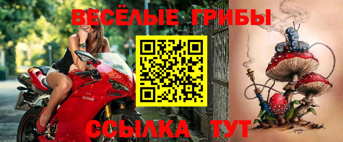 Галлюциногенные грибы MAGIC MUSHROOMS Борзя