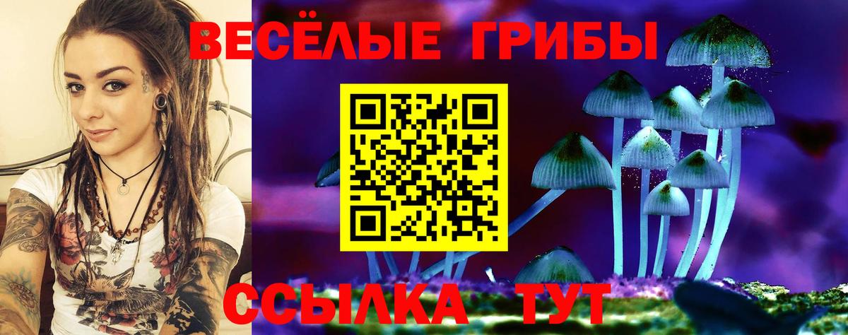 Борзя  Галлюциногенные грибы Magic Shrooms  Вход с VPN  Галлюциногенные грибы Psilocybe 